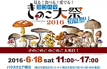 ヨコハマきのこ大祭2016 初夏祭