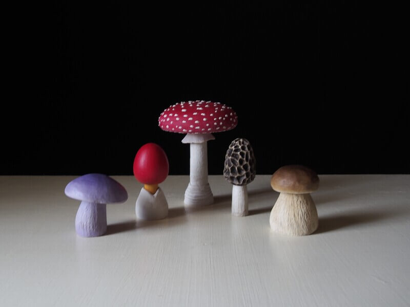 くさびら洞|ヨコハマきのこ大祭 出展者情報