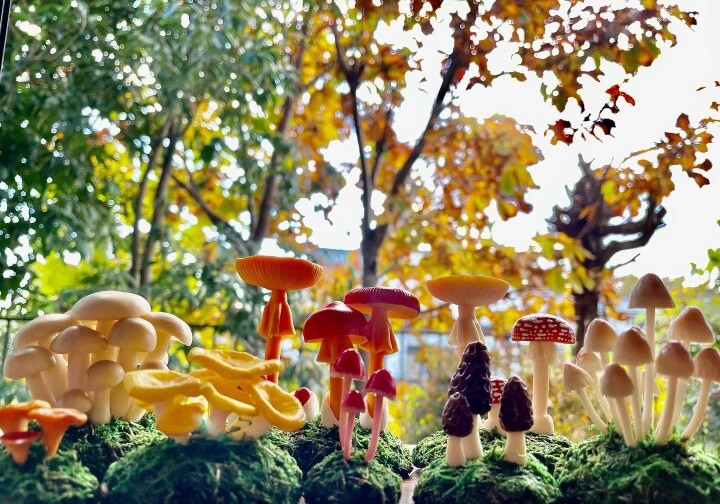 粘土のきのこaiai|ヨコハマきのこ大祭 出展者情報