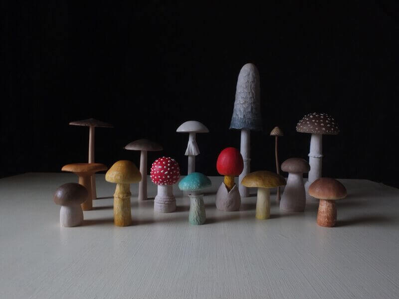 くさびら洞|ヨコハマきのこ大祭 出展者情報