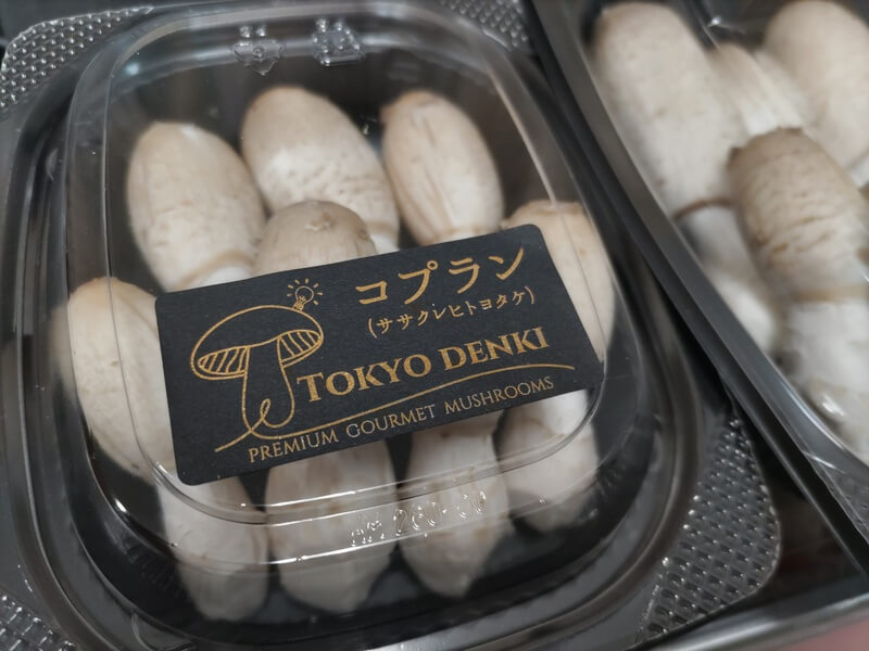 株式会社東京電機|ヨコハマきのこ大祭 出展者情報