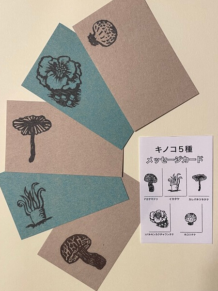 雅屋｜ヨコハマきのこ大祭 出展者情報