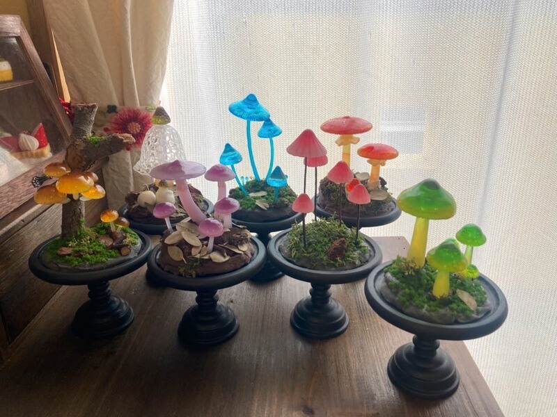 ポルカトット｜ヨコハマきのこ大祭 出展者情報