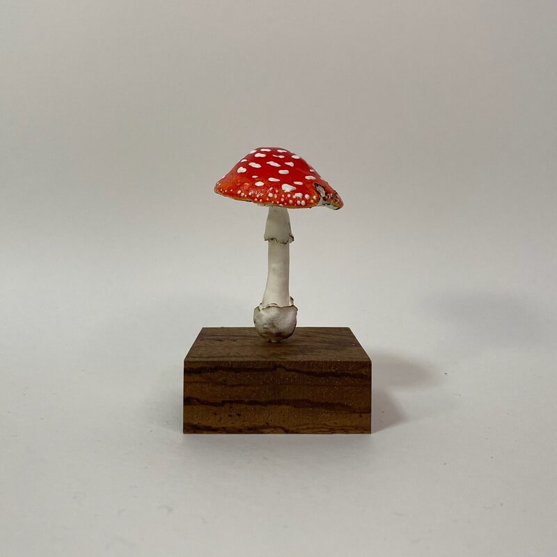 松人のきのこのお店｜ヨコハマきのこ大祭 出展者情報