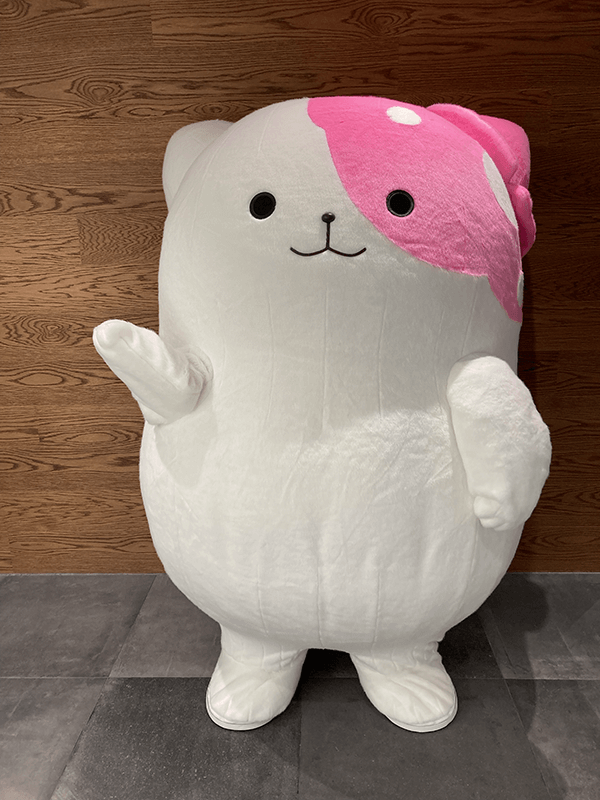 きのこいぬ｜ヨコハマきのこ大祭 出演者情報